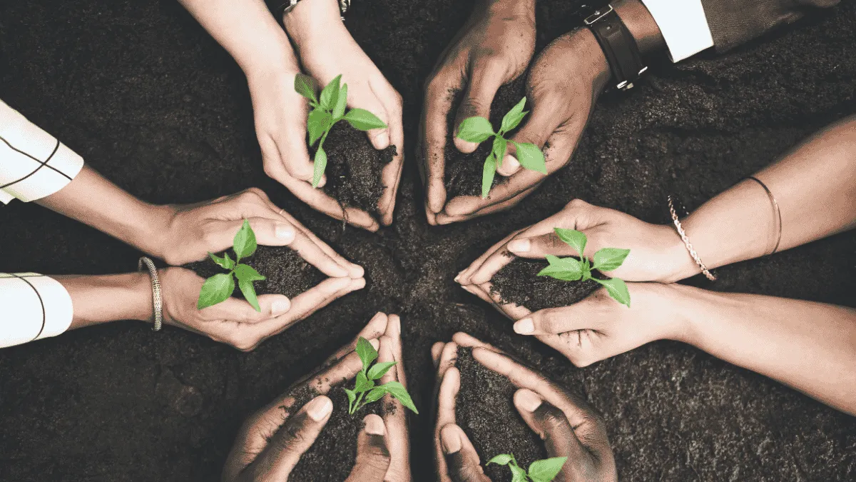 Sustainability community app preview